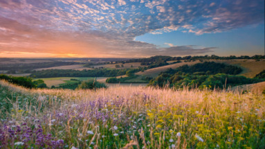 Verenigd Koninkrijk: Zonsondergang boven glooiende heuvels en wilde bloemen, een iconisch Brits landschap