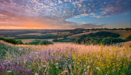 Verenigd Koninkrijk: Zonsondergang boven glooiende heuvels en wilde bloemen, een iconisch Brits landschap