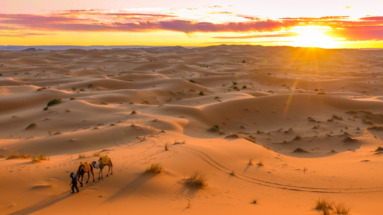 Gouden zandduinen in de woestijn van Libië, met een kamelenkaravaan en een reiziger bij zonsondergang.