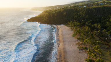 Het idyllische zandstrand Plage de grande Anse omringd door tropisch groen op Réunion.