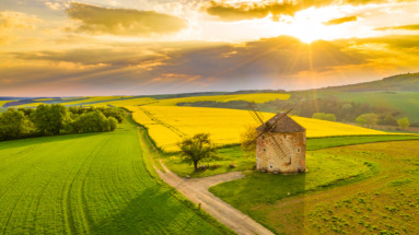 Landschap in Tsjechië met een historische windmolen, groene velden en een kleurrijke zonsondergang.