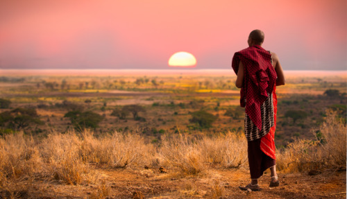 Een Maasai-krijger kijkt uit over de savanne van Tanzania tijdens een adembenemende zonsondergang.