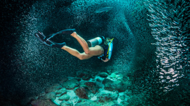 Een duiker zwemt door een enorme school vissen in het heldere water van de Cayman Islands.