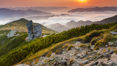 Prachtig uitzicht op de Karpaten in Oekraïne bij zonsopgang, met bergen, mist en groene natuur.