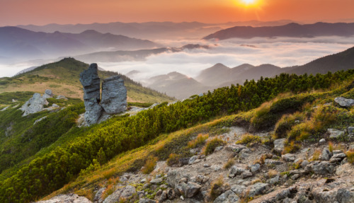 Prachtig uitzicht op de Karpaten in Oekraïne bij zonsopgang, met bergen, mist en groene natuur.