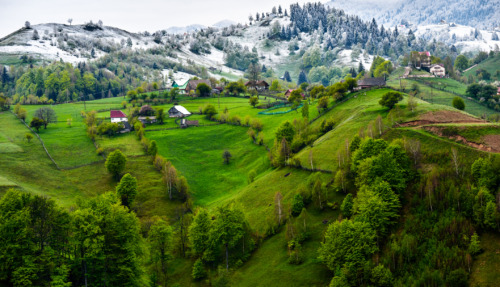 Groene heuvels en besneeuwde bergen in de Karpaten, Roemenië, met traditionele boerderijen en landelijke charme.
