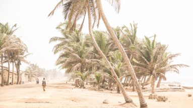 Togo – Tropische natuur en kleurrijke cultuur in West-Afrika