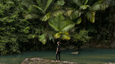 Vrouw verkent het tropische regenwoud El Yunque National Forest met een riviertje in Puerto Rico.