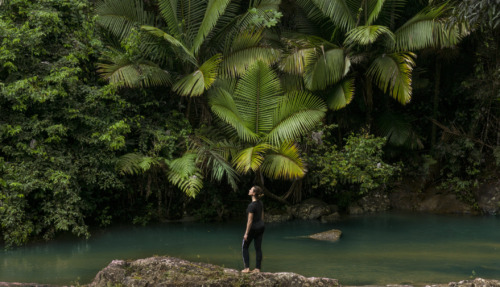 Vrouw verkent het tropische regenwoud El Yunque National Forest met een riviertje in Puerto Rico.