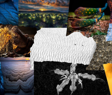 Collage van bekroonde natuurfoto’s uit de World Nature Photography Awards