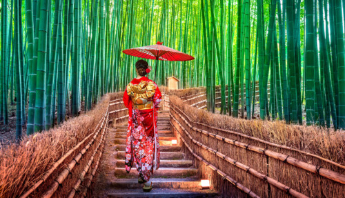 Een vrouw in een traditionele kimono loopt met een rode parasol door het bamboebos van Arashiyama in Kyoto, Japan.