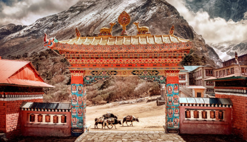 Een kleurrijke toegangspoort tot het Tibetaanse klooster met de besneeuwde Himalaya op de achtergrond en lastdieren op de voorgrond.