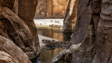 Kameelkaravanen bij een oase in het canyonlandschap Guelta d’Archeï in het Ennedi-gebergte in Tsjaad.