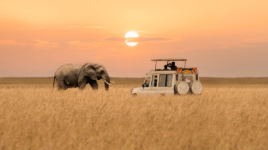 Een safari-jeep en een olifant in de Afrikaanse savanne bij zonsondergang.
