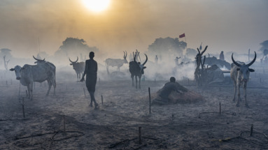 Het traditionele Mundari veekamp in Zuid-Soedan bij zonsopgang, met runderen en herders in een stoffige, sfeervolle setting.