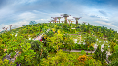 Uitzicht op Gardens by the Bay met de iconische Supertree Grove in Singapore.