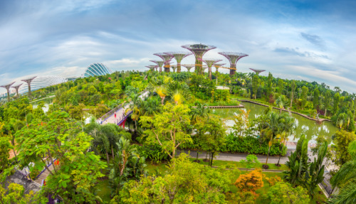 Uitzicht op Gardens by the Bay met de iconische Supertree Grove in Singapore.