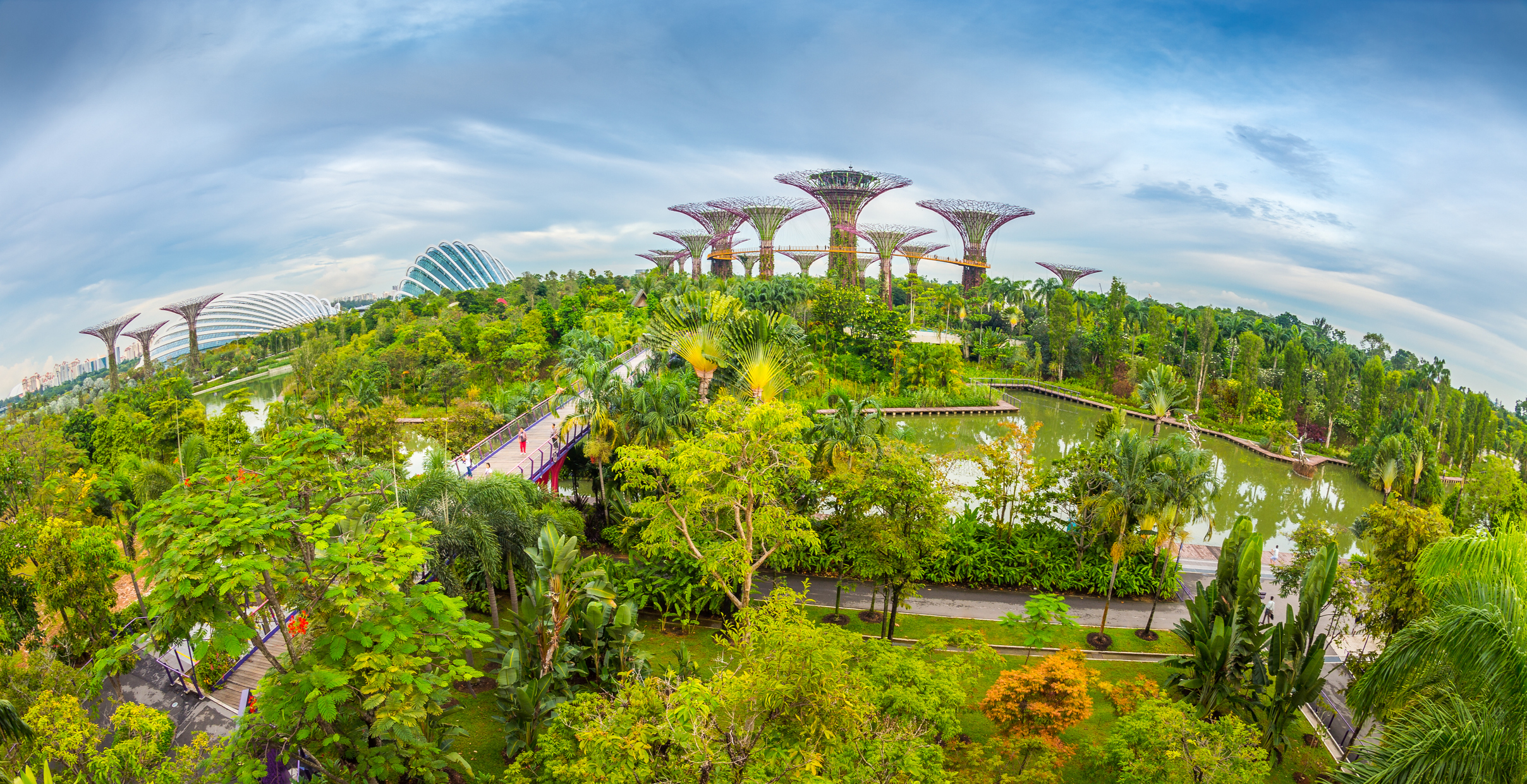 Uitzicht op Gardens by the Bay met de iconische Supertree Grove in Singapore.