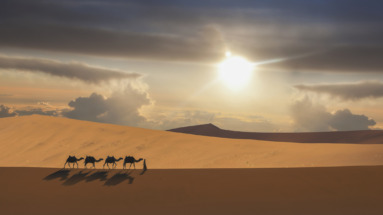 Karavaan van kamelen trekt door de uitgestrekte zandduinen van de woestijn in de Verenigde Arabische Emiraten bij zonsondergang.