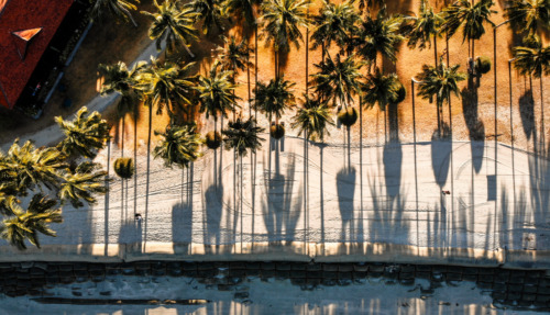 Luchtfoto van een tropisch strand in West-Maleisië, omringd door palmbomen met lange schaduwen