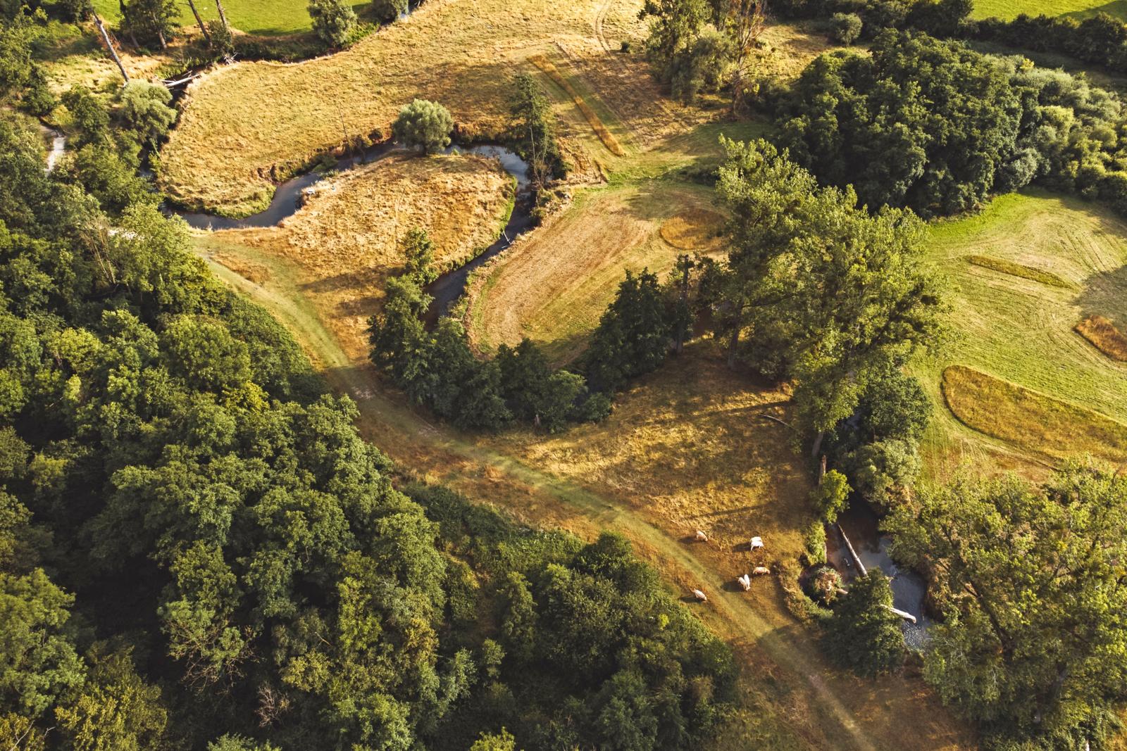 Voor wie naar nóg meer fysieke hoogteverschillen zoekt, biedt het Zuid-Limburgse Heuvelland uitkomst. Dit glooiende landschap voelt als een stukje buitenland in eigen land, waarbij de snelstromende rivier de Geul fungeert als de perfecte gids.