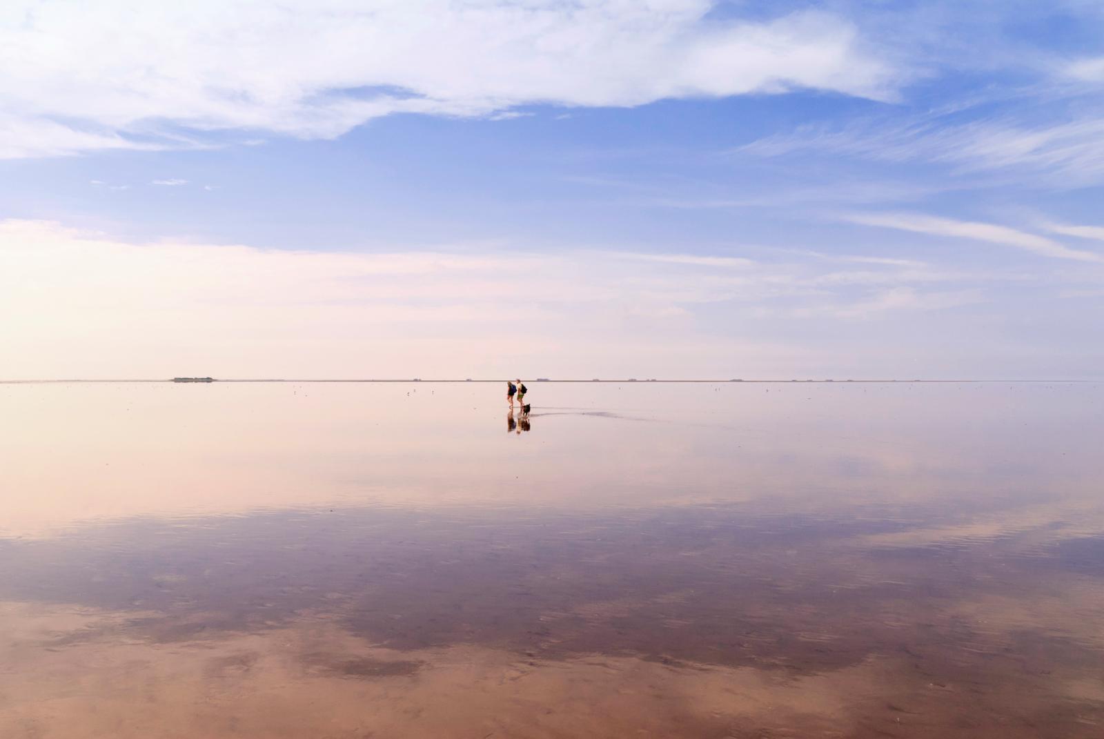 nternationaal staat 'onze' Waddenzee met de acht Waddeneilanden er buitengewoon goed op. Het gebied is het enige natuurlijke Unesco Werelderfgoed in Nederland. Dit grootste getijdensysteem op aarde is niet alleen een magische, maar ook een biologische supermotor: het is verantwoordelijk voor het ontstaan van tal van dynamische leefgebieden waarin duizenden plant- en diersoorten gedijen.