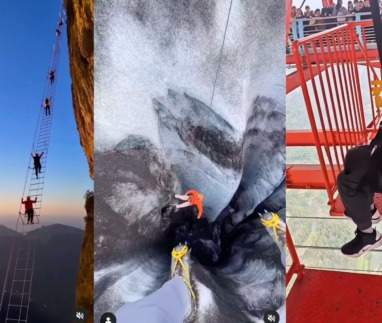 Dit zijn een aantal van 's werelds meest bizarre attracties!