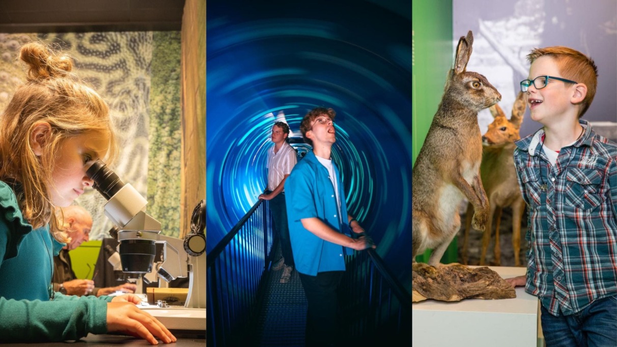 De leukste doe-het-zelf-musea van Nederland