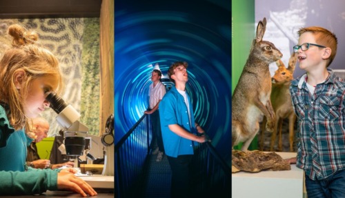 De leukste doe-het-zelf-musea van Nederland