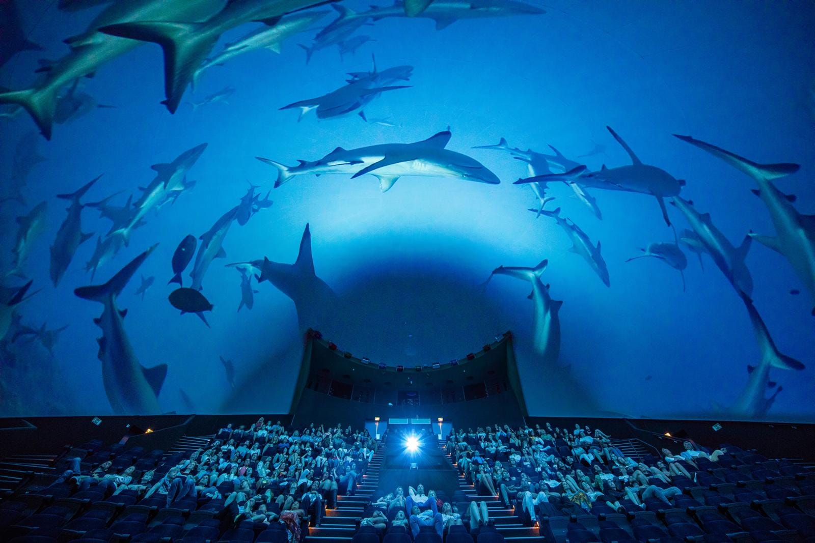 Bezoekers kijken naar een spectaculaire haaiendocumentaire in het koepeltheater van Museon-Omniversum in Den Haag