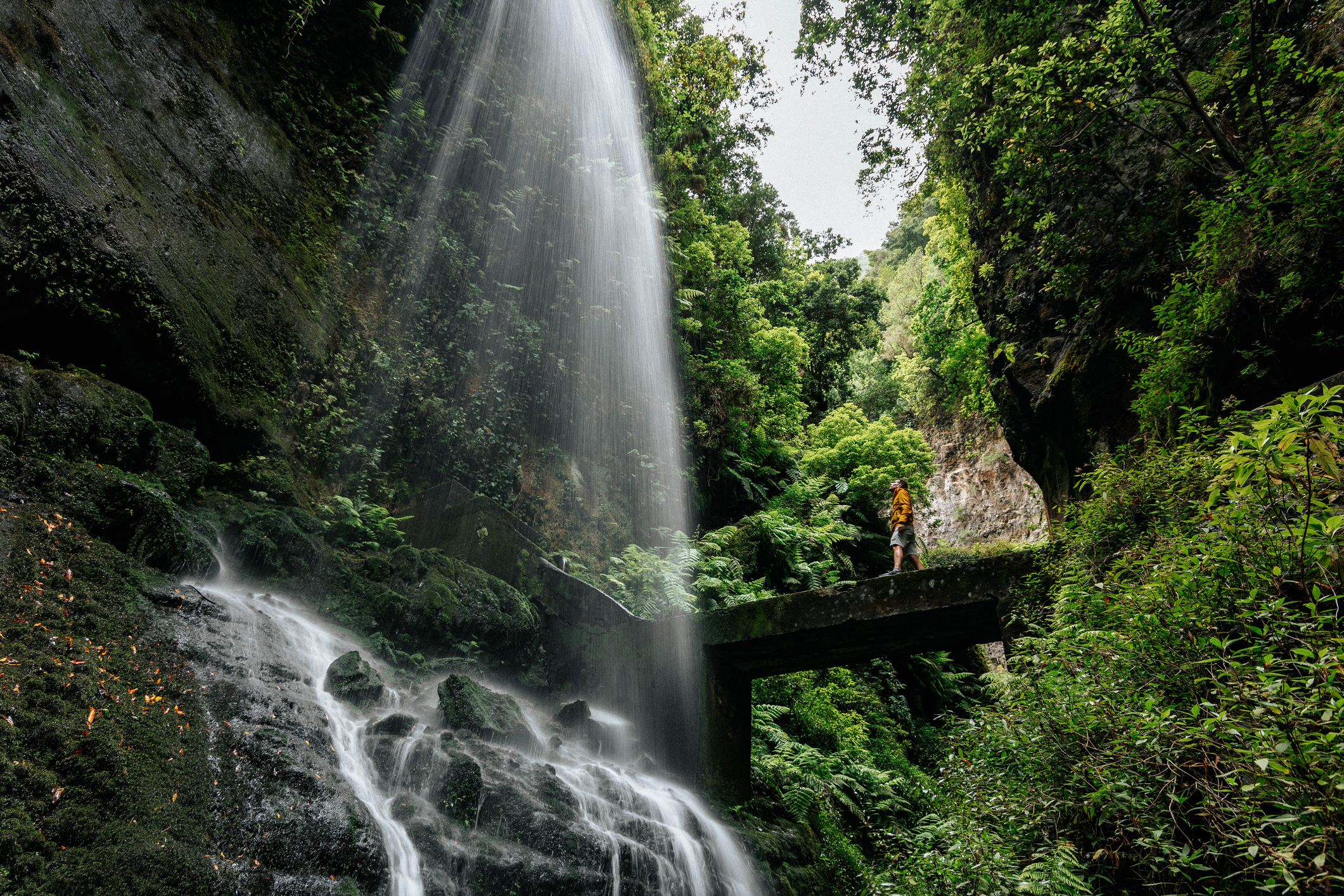 La Palma – ook wel La Isla Bonita genoemd – is een groen juweel vol weelderige bossen, diepe ravijnen en stille dorpjes. Massatoerisme? Dat bestaat hier nauwelijks. Dit eiland is een paradijs voor wandelaars, rustzoekers en natuurliefhebbers.