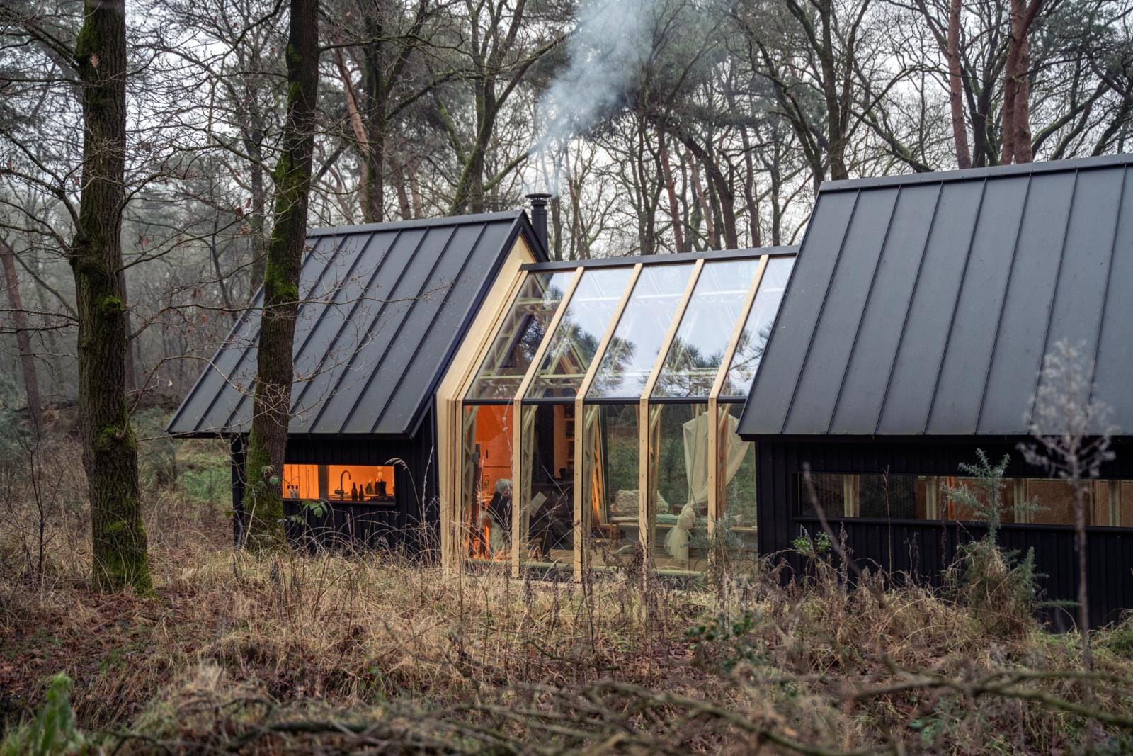 Moderne houten cabin ANNA met glazen gevel en rookkanaal, gelegen in een bosrijk gebied in natuurgebied De Maashorst.