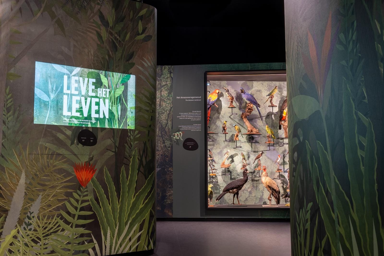 Tentoonstelling over het Amazonegebied in Natuurmuseum Brabant in Tilburg