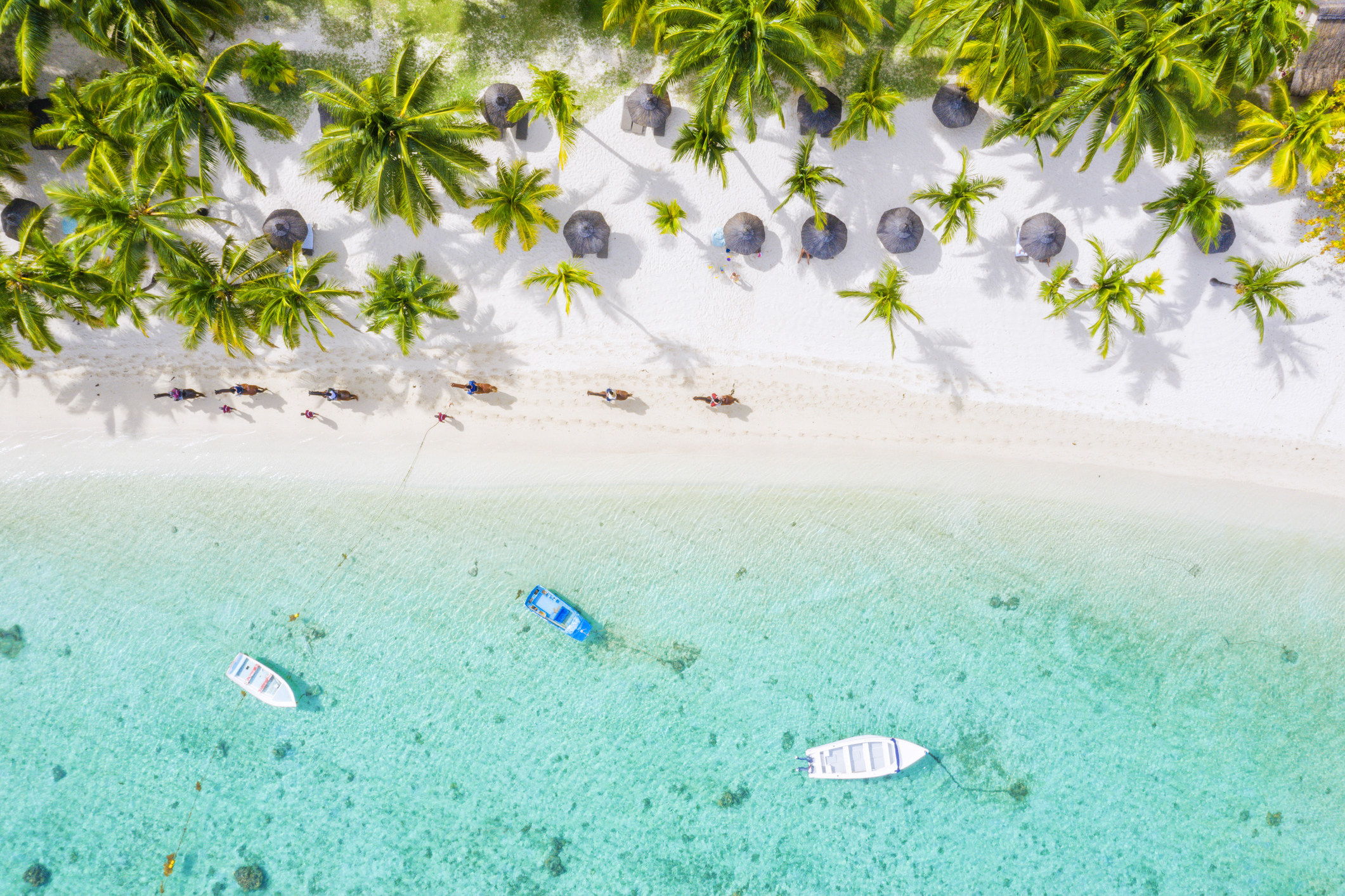 Mauritius ligt in de Indische Oceaan ten oosten van Madagaskar en is een smeltkroes van culturen: Afrikaanse, Franse, Indiase en Chinese invloeden komen samen in de keuken, muziek en architectuur. Het eiland combineert tropische stranden met een groen binnenland vol bergen, watervallen en theeplantages.