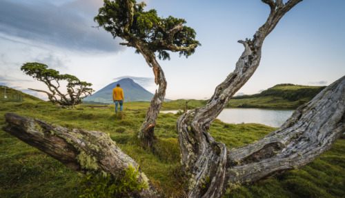 Persoon kijkt uit over de Pico vulkaan op het eiland Pico, Azoren, Portugal