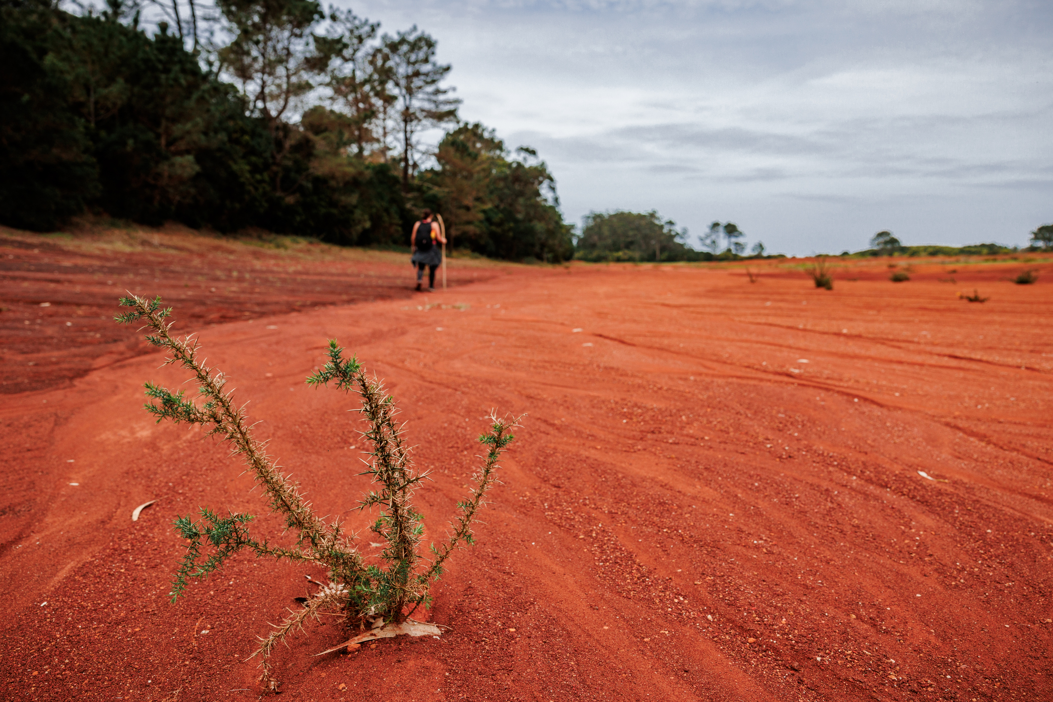 Santa Maria is het oudste en zonnigste eiland van de Azoren. Met witte zandstranden, droge heuvels en wijngaarden is het landschap anders dan op de andere eilanden. Het eiland is klein, dunbevolkt en authentiek; perfect voor wie rust zoekt met een zomers randje.