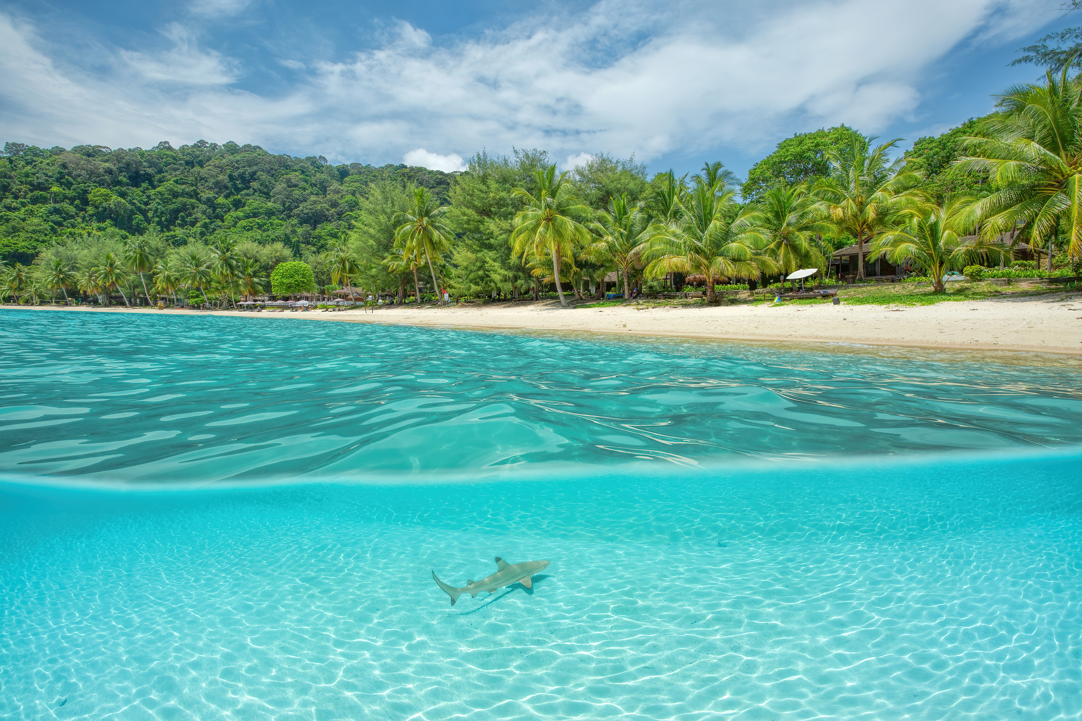 Voor de noordoostkust van Maleisië liggen de Perhentians: Perhentian Besar (de grote) en Perhentian Kecil (de kleine). Denk: poederzandstranden, jungle tot aan het water, een levendige onderwaterwereld en een sfeertje van slippers, sarongs en verse vis. Er is geen grootschalig toerisme of feestgedruis. Het eiland trekt vooral backpackers, rustzoekers en duikers.