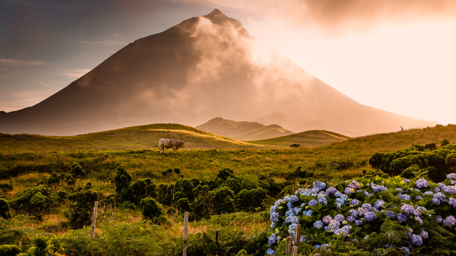 Pico op de Azoren wordt gedomineerd door de gelijknamige vulkaan, de hoogste berg van Portugal (tweeduizend driehonderdeenenvijftig meter). Je vindt er lavavelden, Unesco-wijngaarden in stenen muurtjes en een diepblauwe zee vol walvissen. Voor wie houdt van beklimmen, duiken, zeekajakken en pure ruigheid.