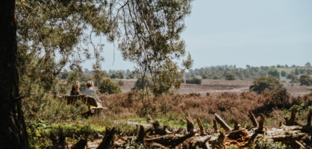 Twee wandelaars op een bankje met uitzicht over de heide van de Sallandse Heuvelrug