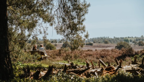 Twee wandelaars op een bankje met uitzicht over de heide van de Sallandse Heuvelrug