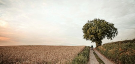 mooiste wandelroutes op de grens van Nederland, België en Duitsland