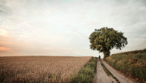 mooiste wandelroutes op de grens van Nederland, België en Duitsland