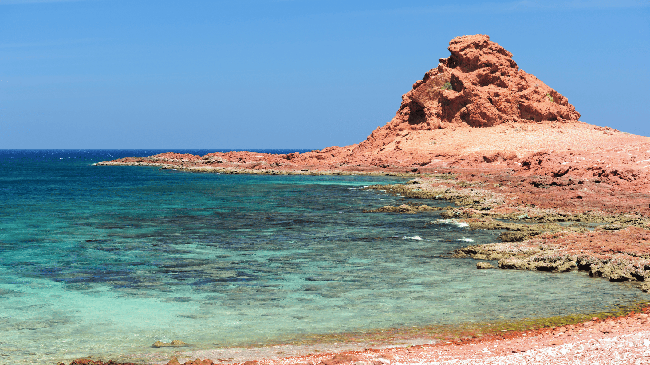 In de wateren rondom Socotra zwemmen ruim 730 soorten tropische vissen. In de baai van Dihamri, waar je voor $10 een snorkel en een setje zwemvinnen huurt, is het alsof je in een aquarium stapt. 
