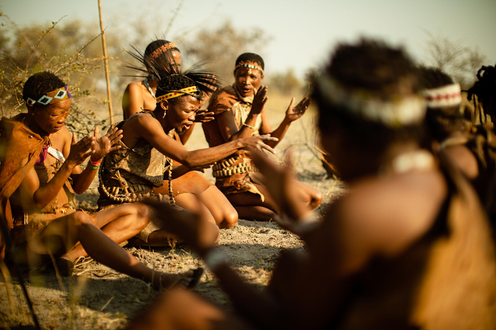 Ooit waren grote delen van Botswana, Namibië, Angola, Zambia, Zimbabwe, Lesotho en Zuid-Afrika het thuis van de San, de Bosjesmannen. In kleine groepjes trokken ze rond, joegen op antilopen, vergaarden eetbare planten en legden hun avonturen vast in de vorm van rotstekeningen.