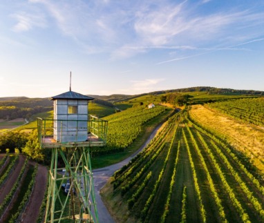 Blaufränkischland_Grenzwachturm21@BurgenlandTourismus_stillsandemotions_preview