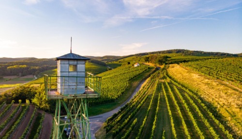 Blaufränkischland_Grenzwachturm21@BurgenlandTourismus_stillsandemotions_preview