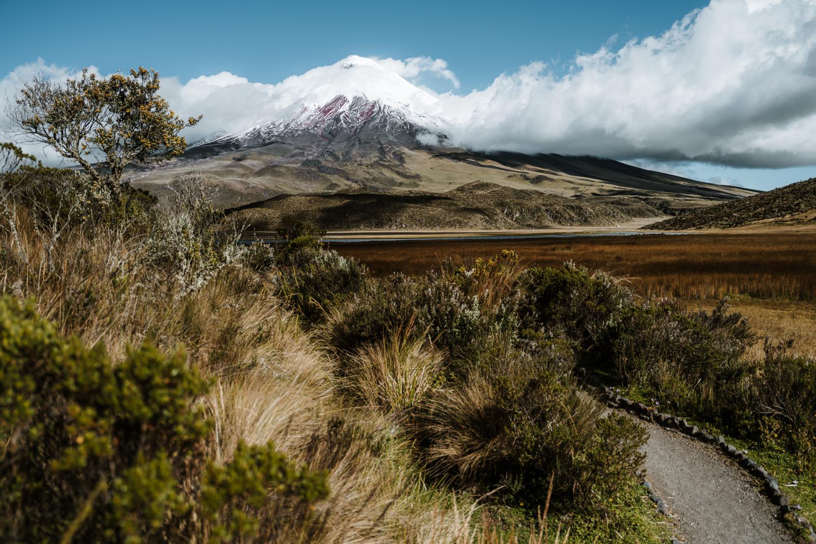 Wandelpad met uitzicht op de besneeuwde Cotopaxi-vulkaan in Nationaal Park Cotopaxi, Ecuador.