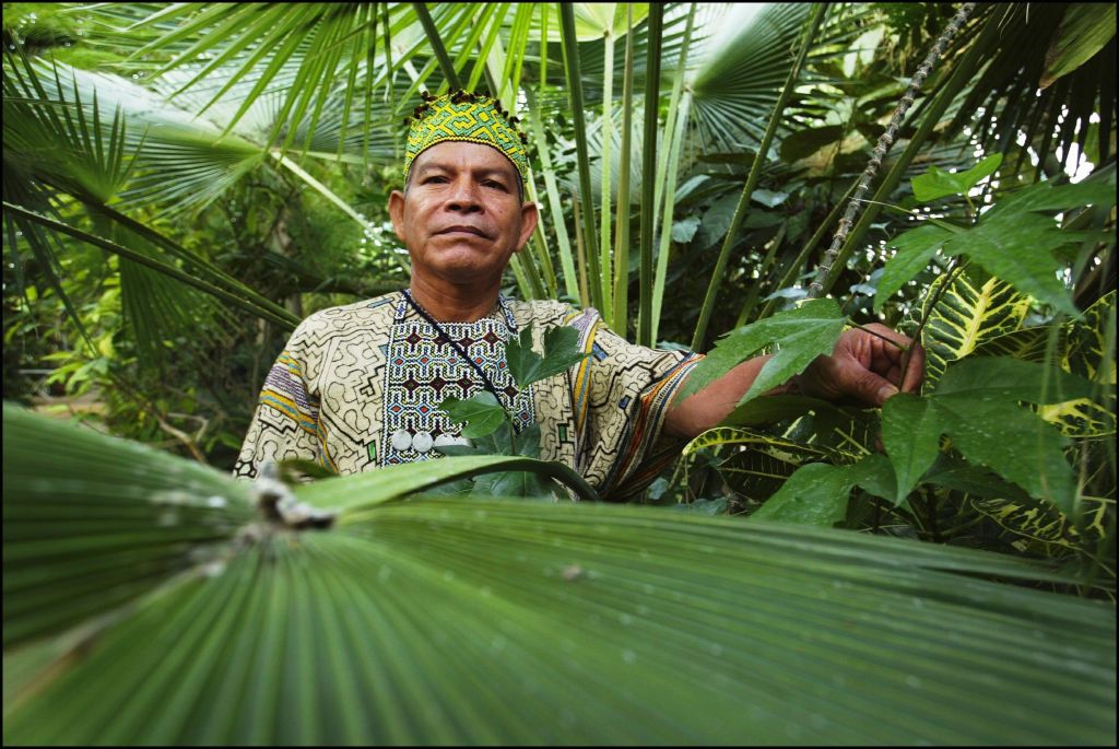 De Shipibo-Conibo leven langs de Ucayali-rivier in Peru en staan bekend om hun hypnotiserende geometrische patronen, die zij op textiel, keramiek en huid aanbrengen. Deze patronen zijn niet alleen decoratief, maar ook spiritueel geladen. 