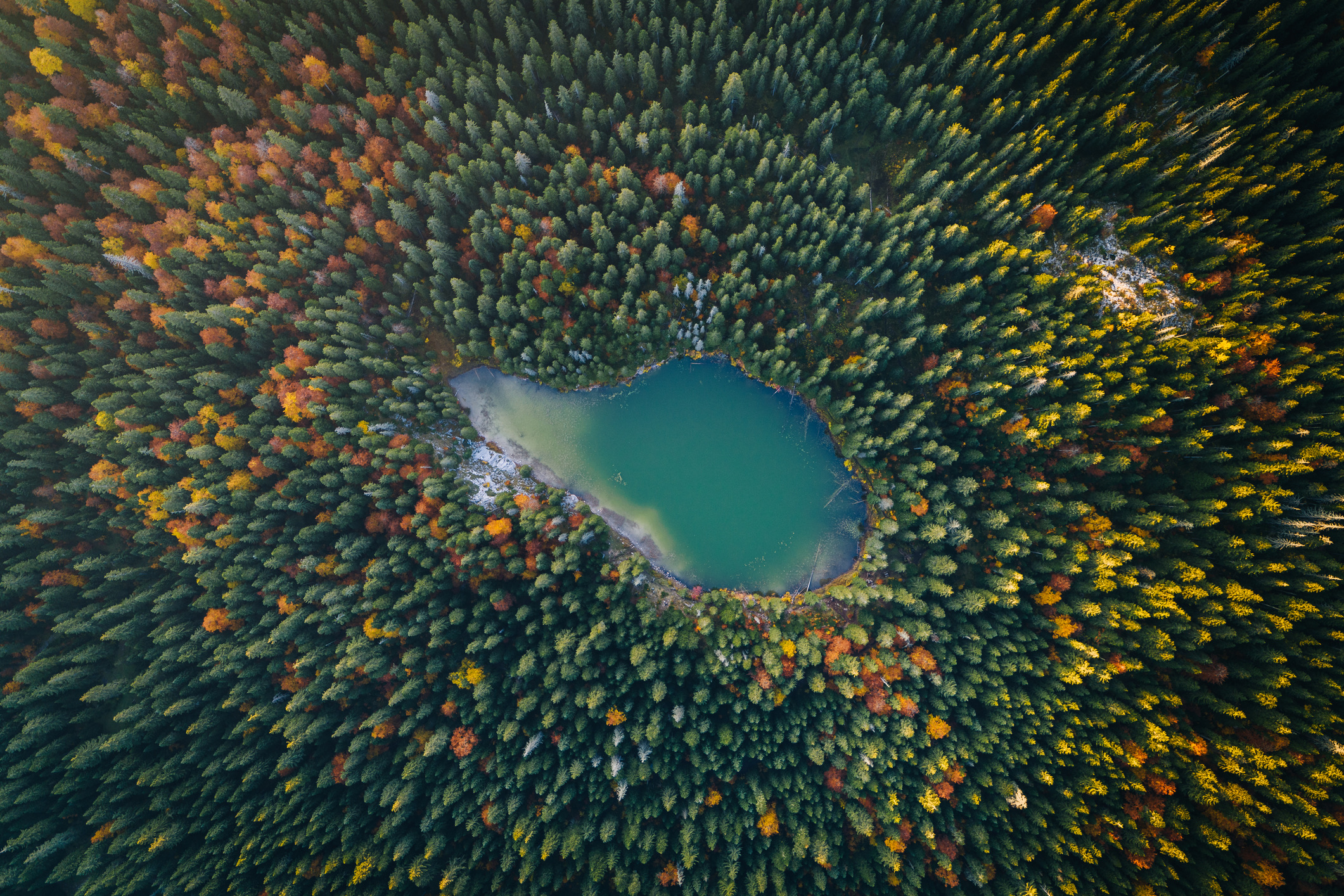 De herfst legt een gouden deken over het Durmitor-gebergte in het noorden van Montenegro, met zijn diepe kloven, stille gletsjermeren en verlaten bergpaden. In oktober zijn de bossen rond het Zwarte Meer (Crno Jezero) op hun allermooist en loop je vrijwel alleen door deze Unesco-beschermde wildernis.