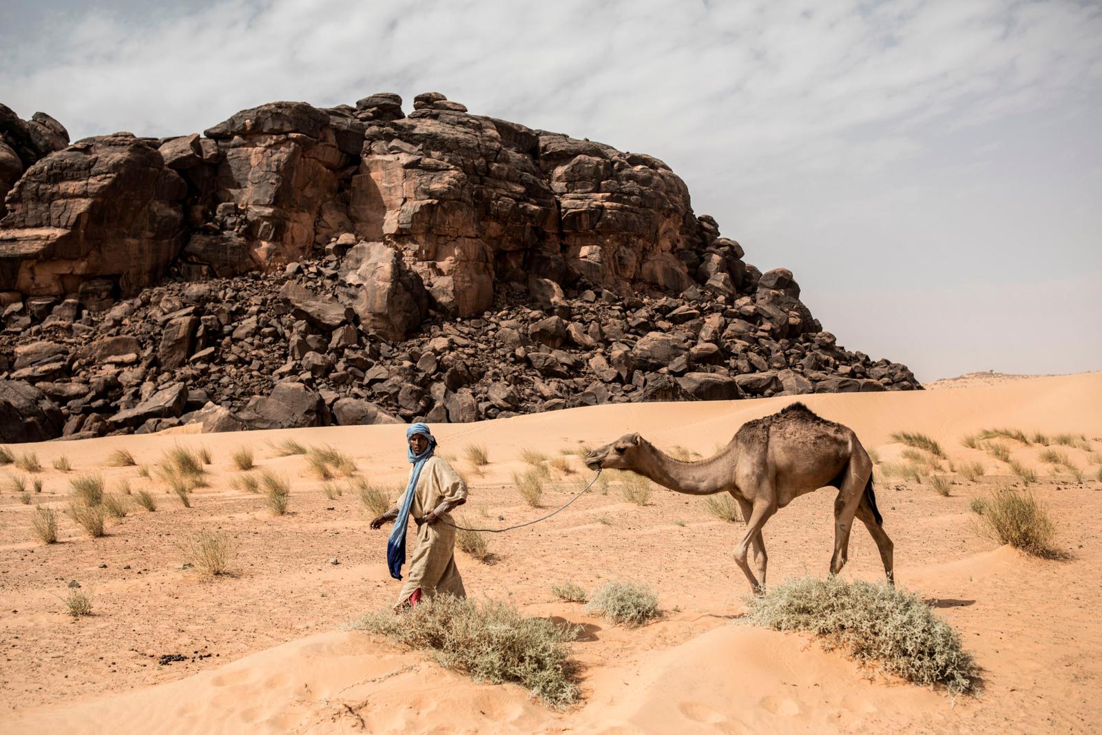 Man in traditionele kleding leidt een kameel door de zandduinen en rotsformaties van Mauritanië.